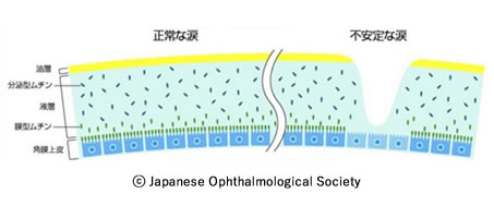 図１　涙液の構造